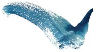 oiseau